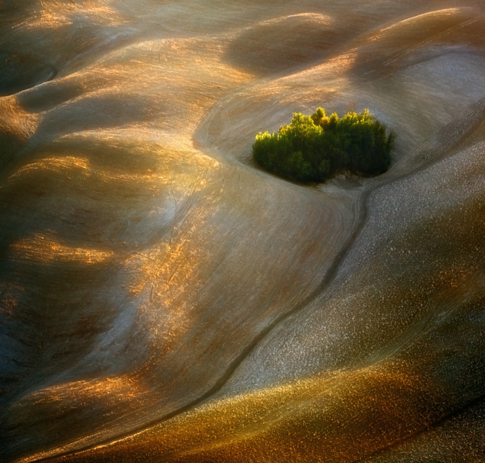 Fields... von Krzysztof Browko