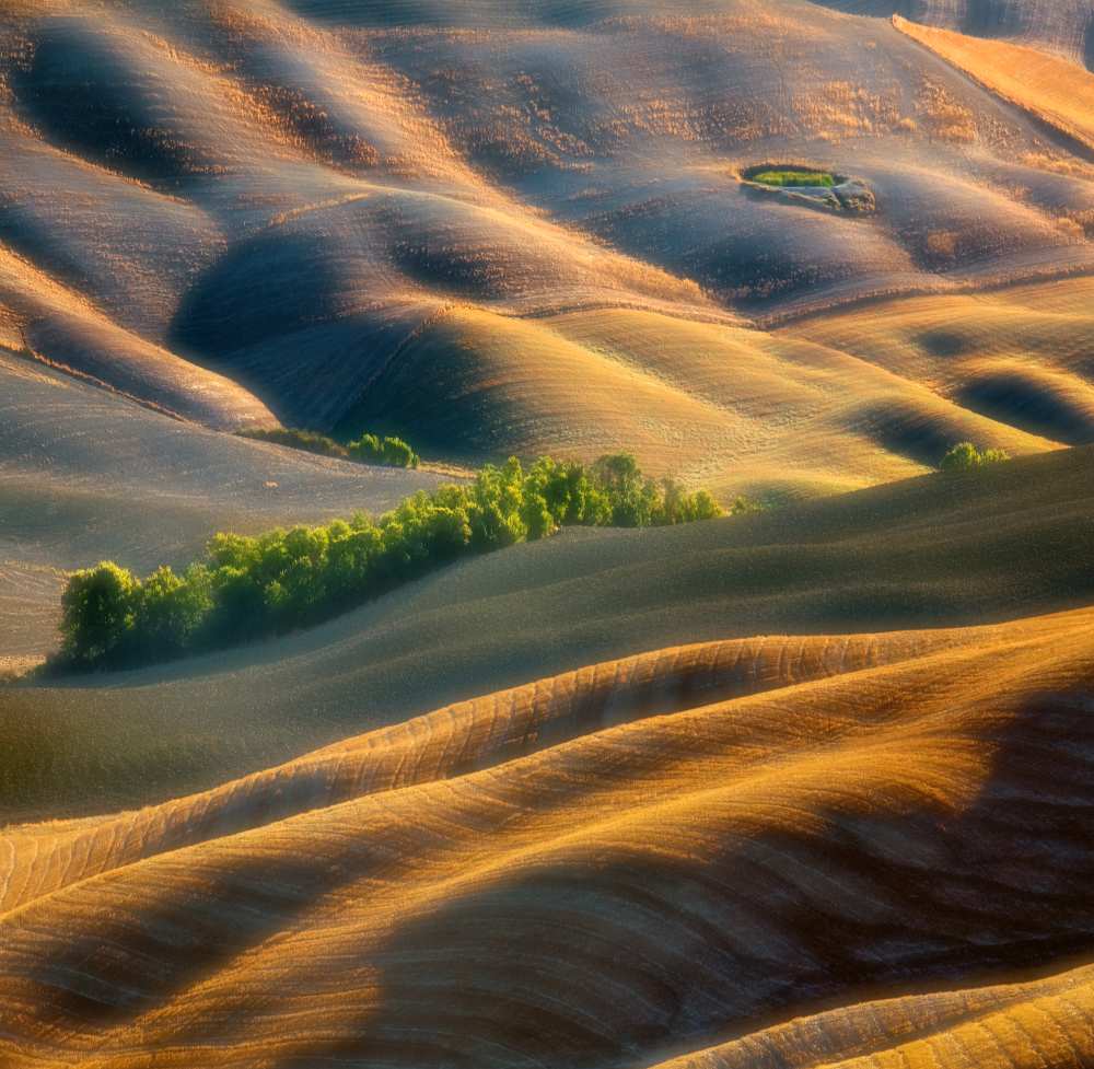 Fields von Krzysztof Browko