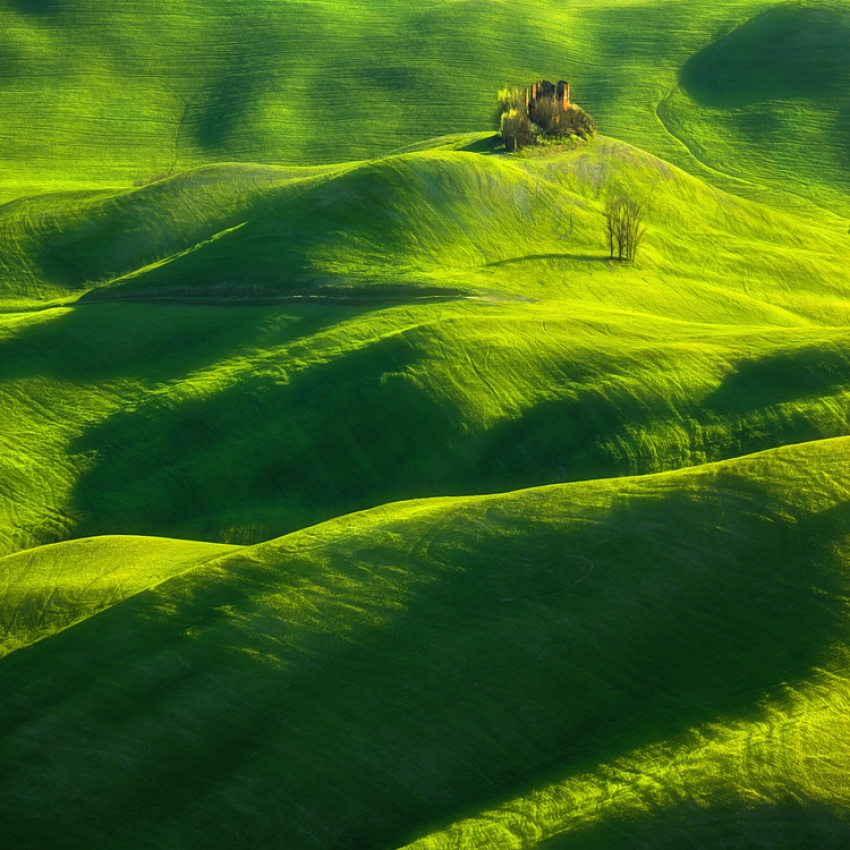 Spring... von Krzysztof Browko