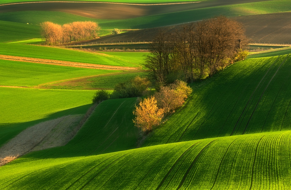 Spring attack.. von Krzysztof Browko