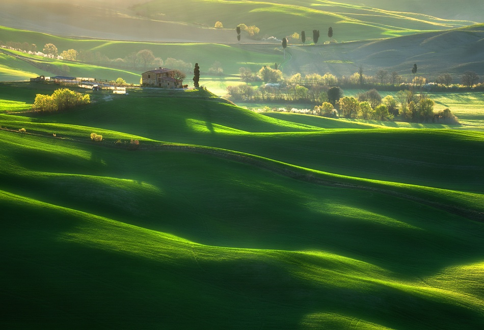 Green waves... von Krzysztof Browko