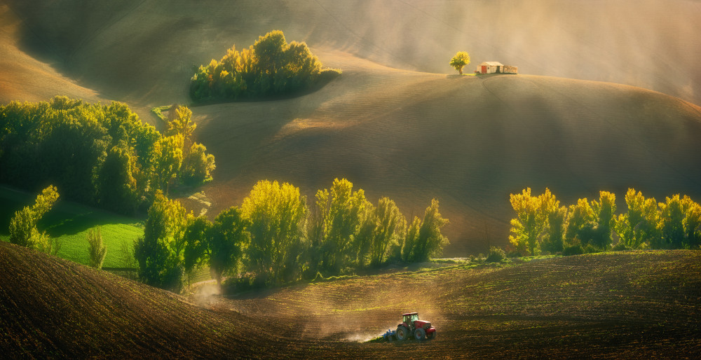 Autumn fields... von Krzysztof Browko