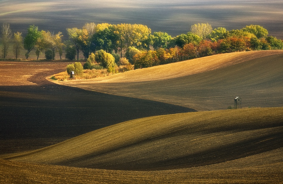 Autumn fields... von Krzysztof Browko