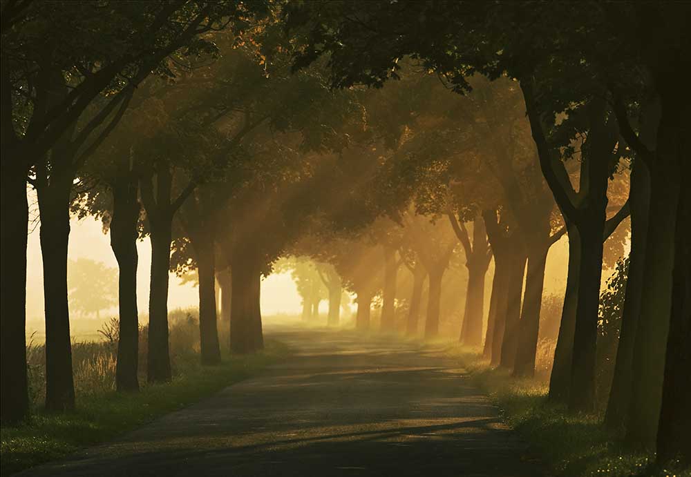 Herbststraße ... von Krzysztof Browko