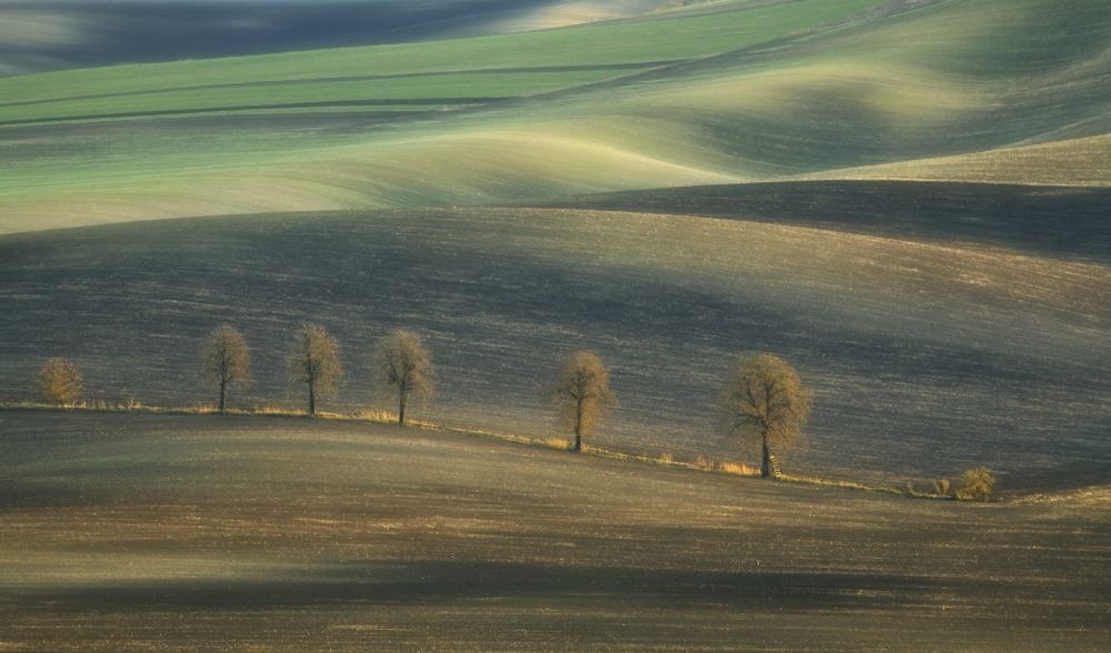 Sieben... von Krzysztof Browko