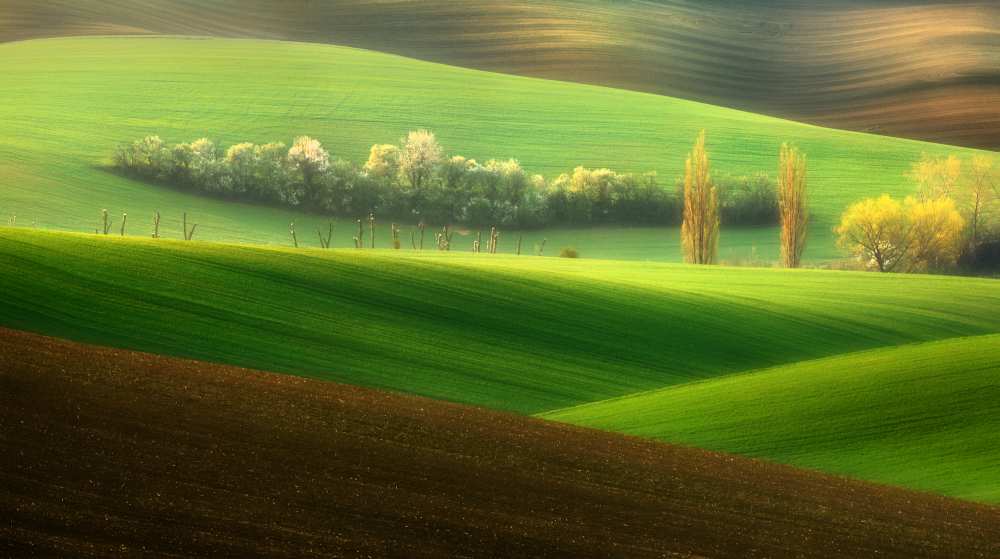 Sisters... von Krzysztof Browko