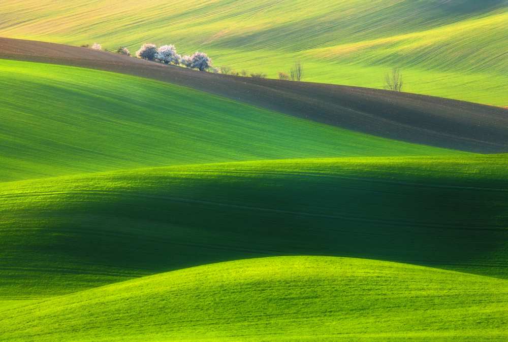 Spring time... von Krzysztof Browko