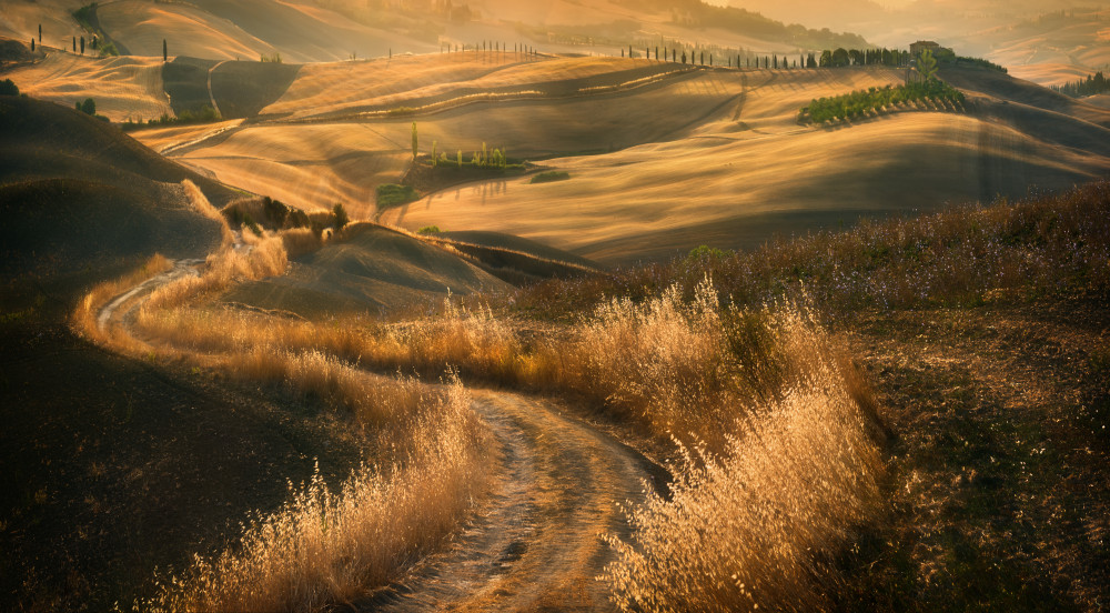 Road... von Krzysztof Browko