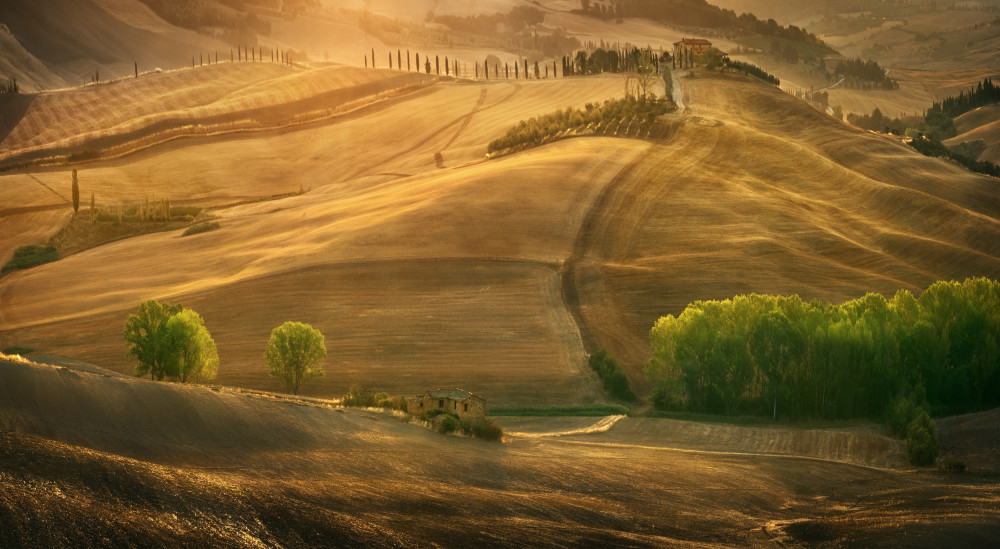 Tuscan summer... von Krzysztof Browko