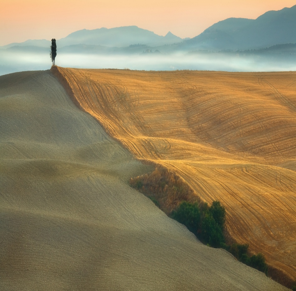 Cypress von Krzysztof Browko