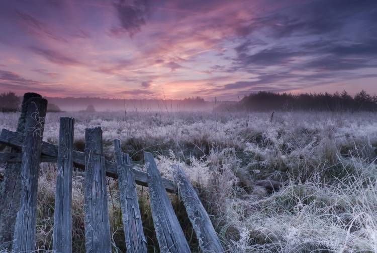 Dawn of Bialowieza Meadows von Krzysztof Lorant