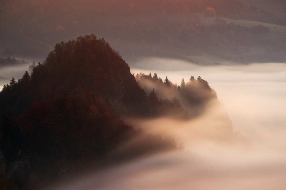 In the fog von Krzysztof Mierzejewski