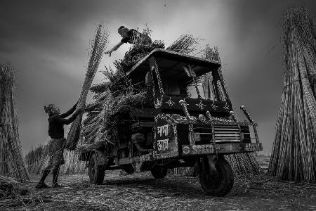 Jute mill workers