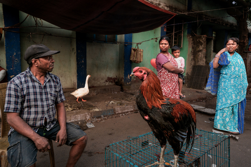 Street stories von Kuntal Biswas