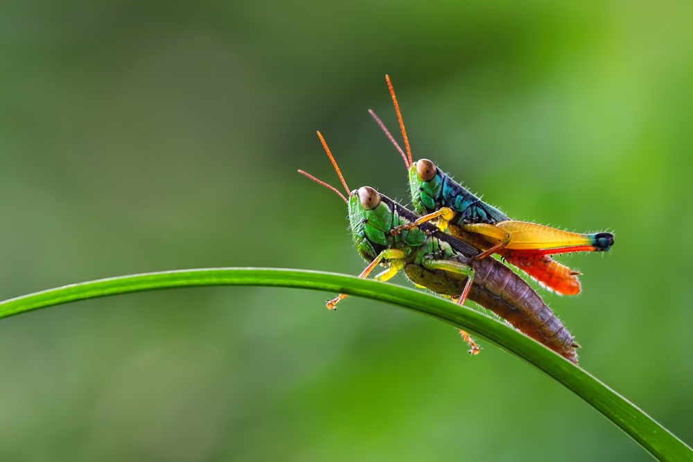 together von Kurit Afsheen