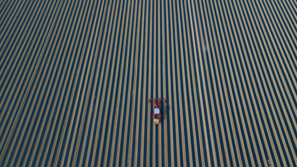 Farmer working von Kutub Uddin