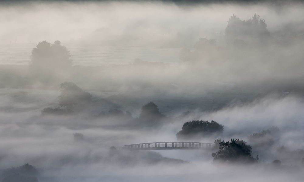 Mist von Kutub Uddin