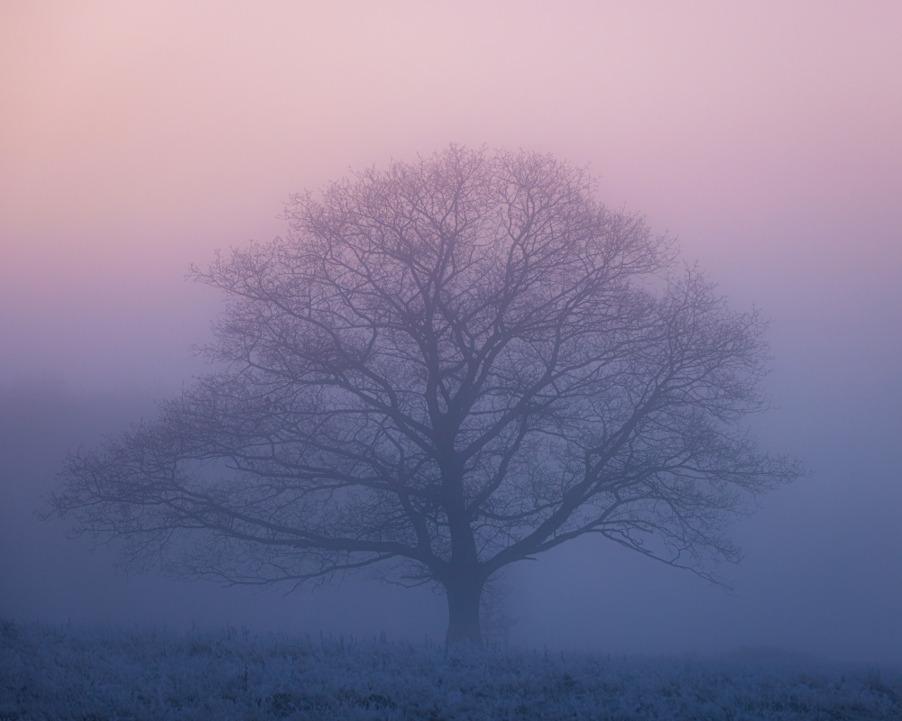 Before Sunrise von Kutub Uddin