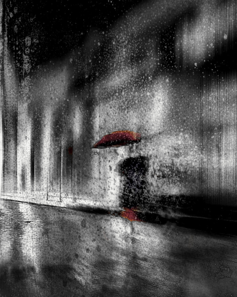 wandering in the rain von Lammakmak