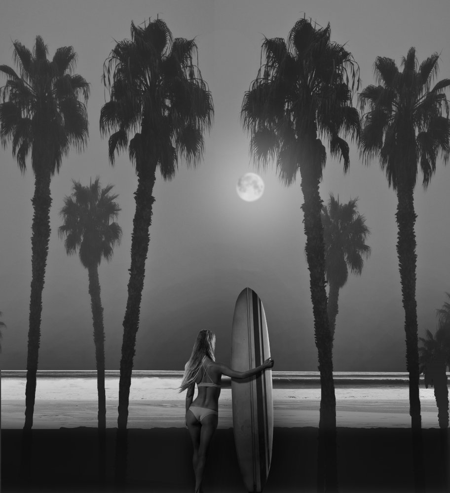 Moonlight Surfer von LARRY BUTTERWORTH