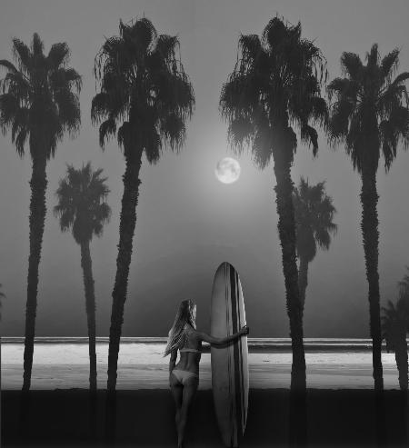 Moonlight Surfer