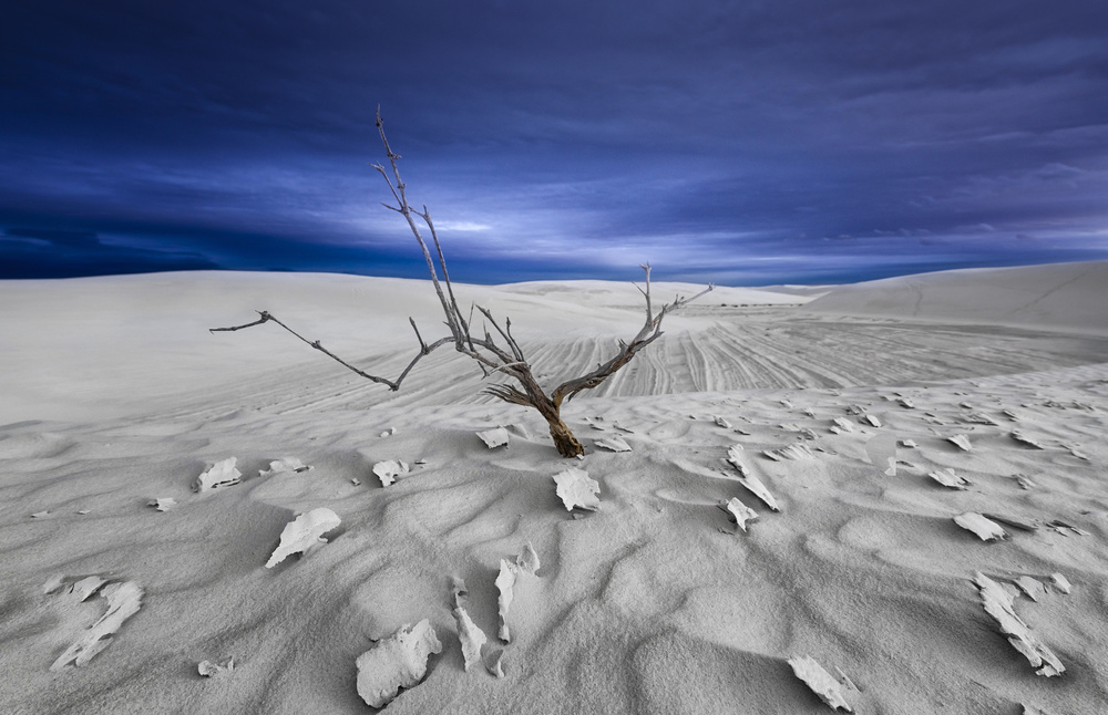 Alone von Larry Deng