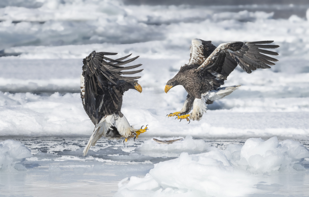 The moment von Larry Deng