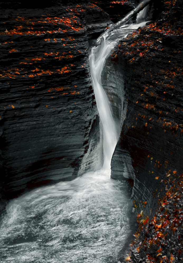 Autume von Larry Deng