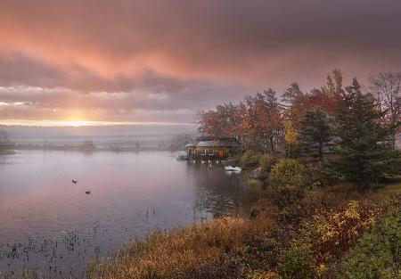 Autumn color