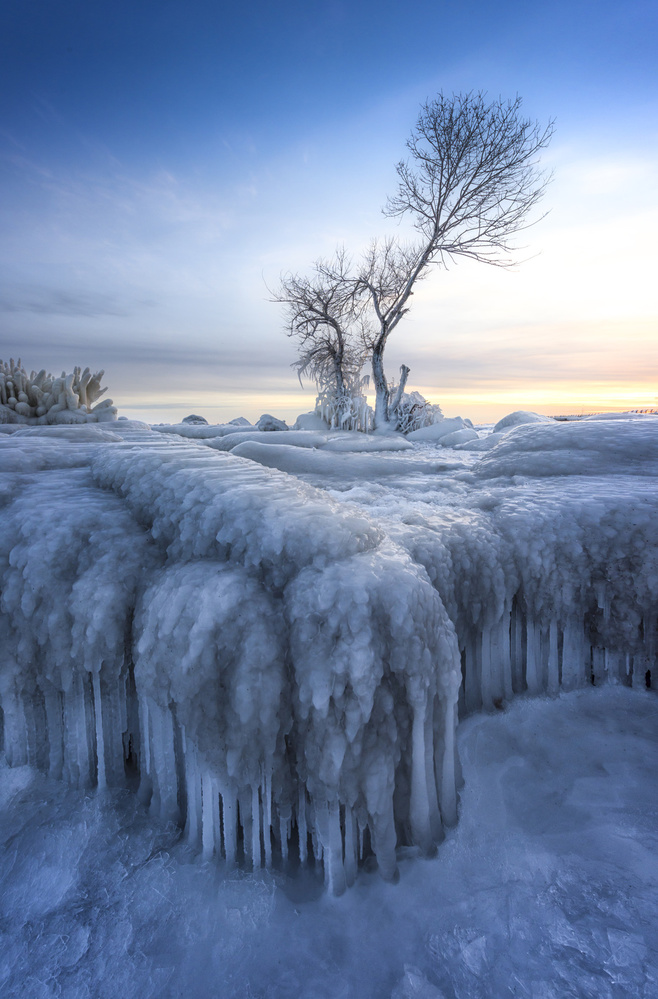 Winter Wonderland von Larry Deng