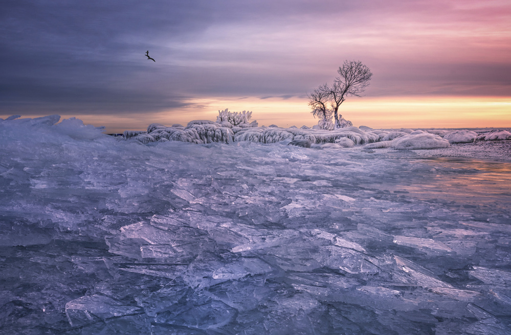 Winter wonderland von Larry Deng