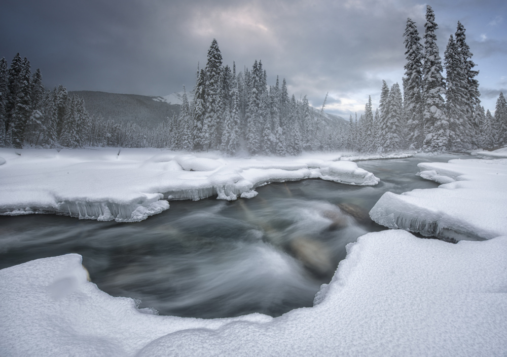 Winter wonderland von Larry Deng