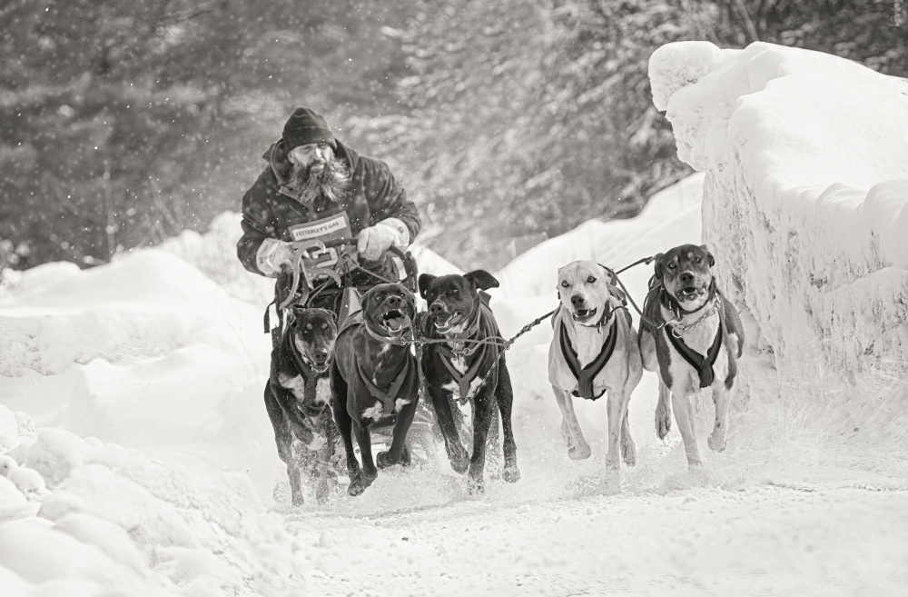 Winter sport von Larry Deng