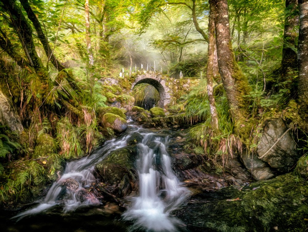 Fairy Bridge von Lars Van De Goor