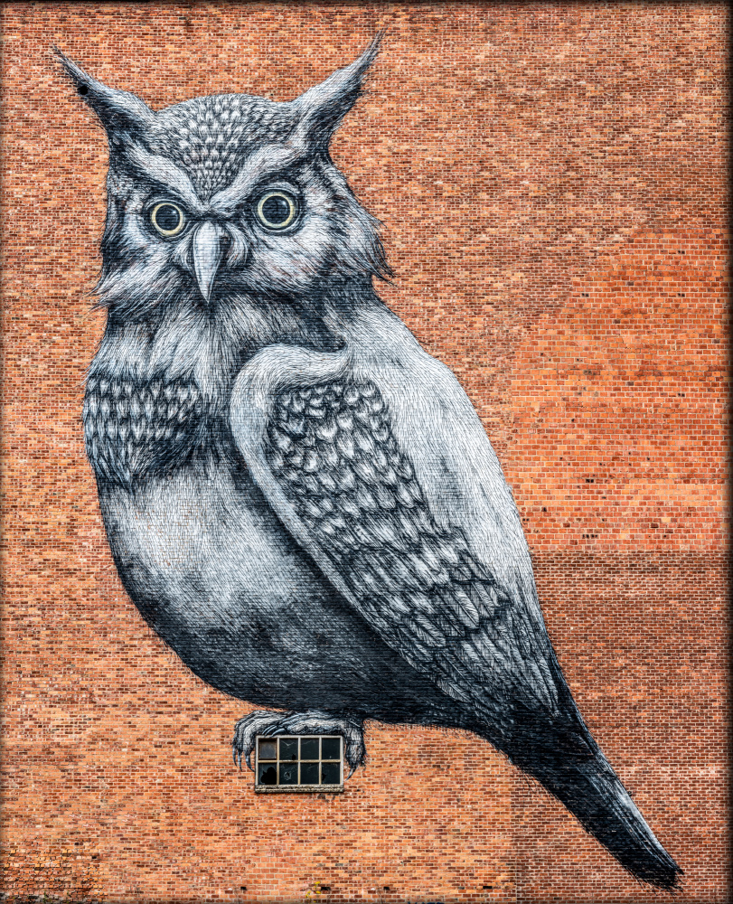 Tag Owl Hasselt von Laruelle Philippe