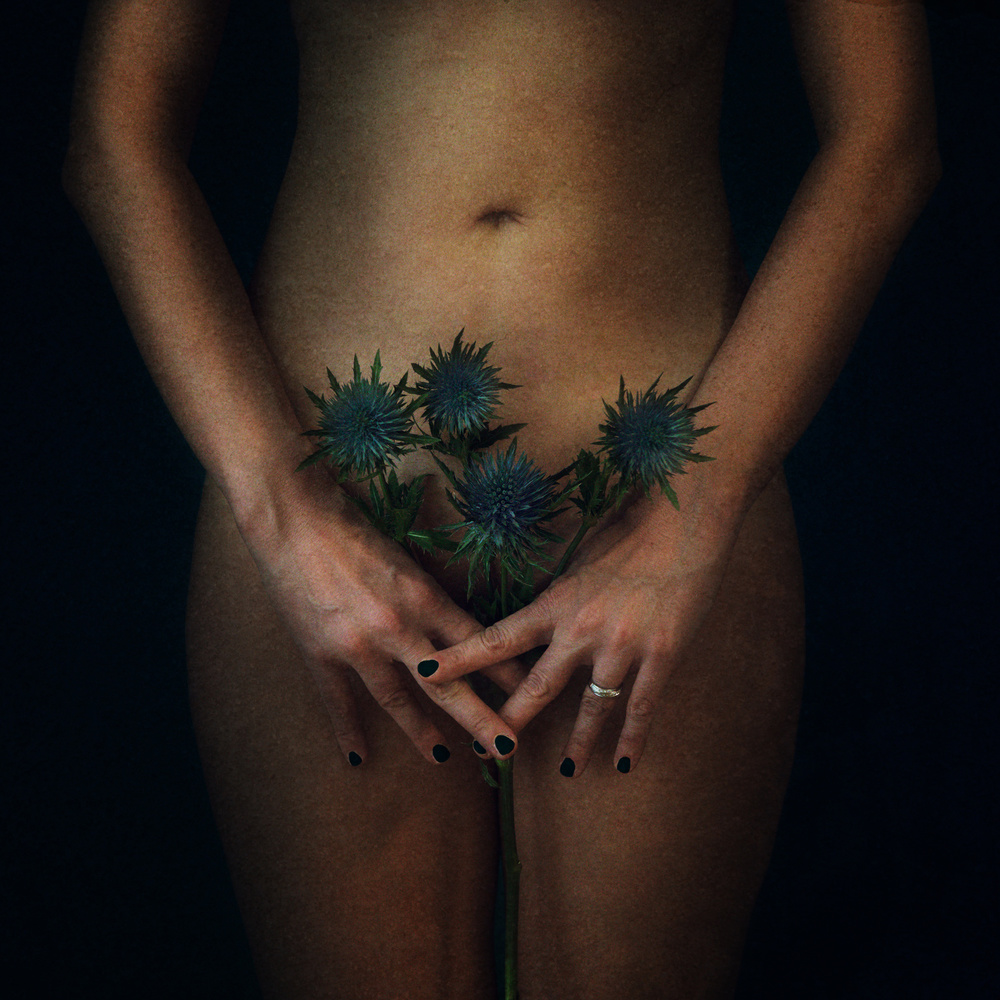 Thistle von Laura Benvenuti