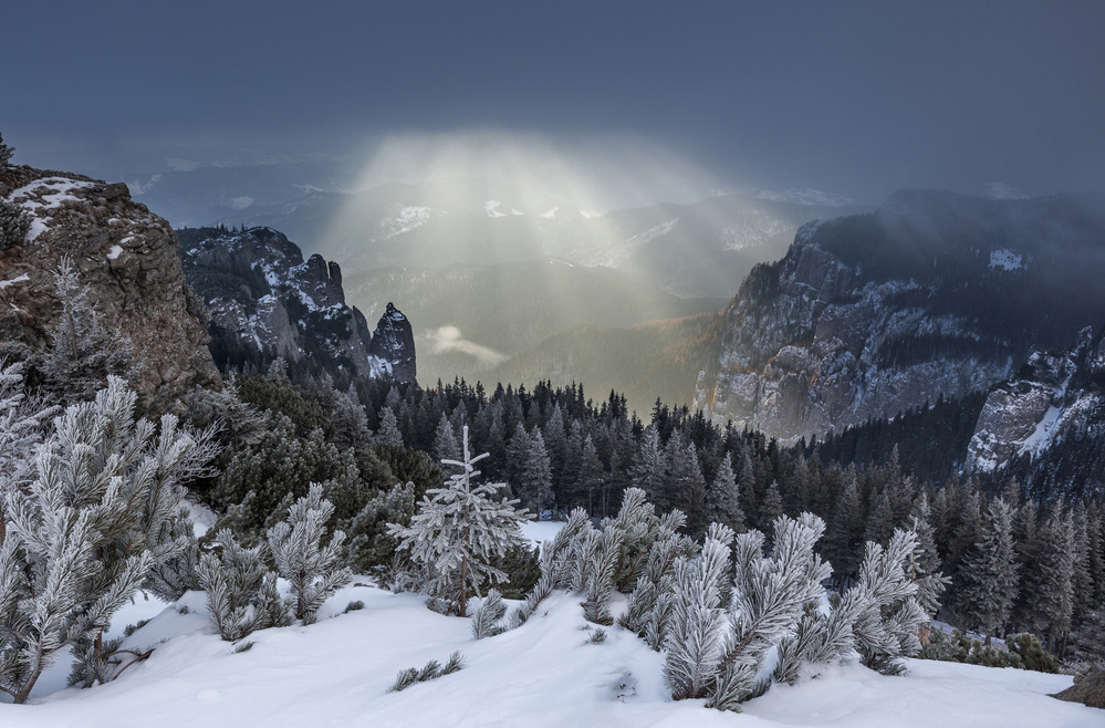 The Curtain von Lazar Ioan Ovidiu