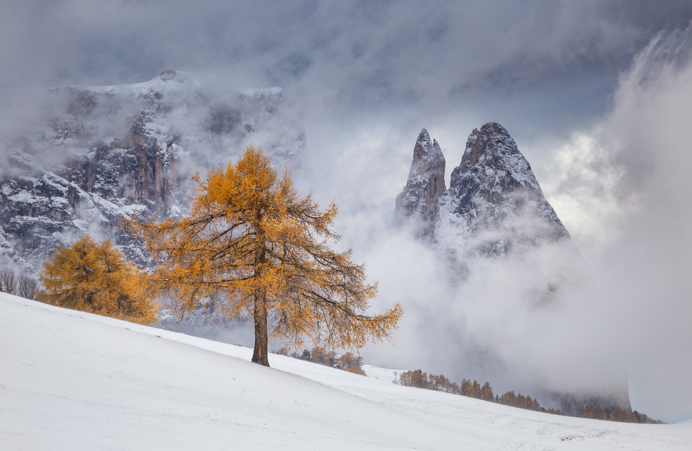 Between Seasons von Lazar Ioan Ovidiu