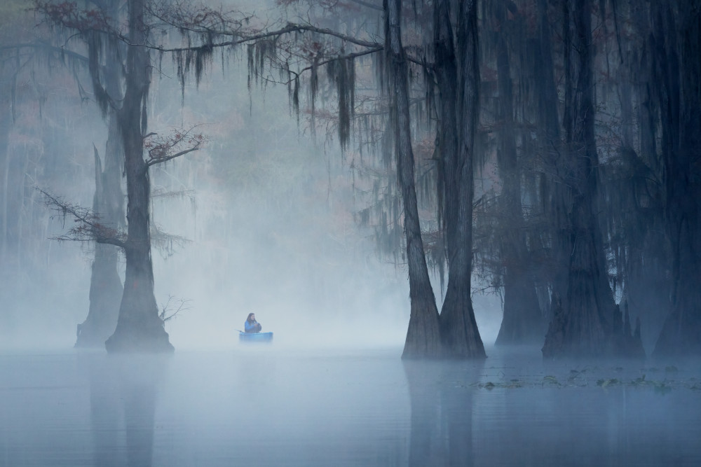 Caddo Lake fog morning von Leah Xu