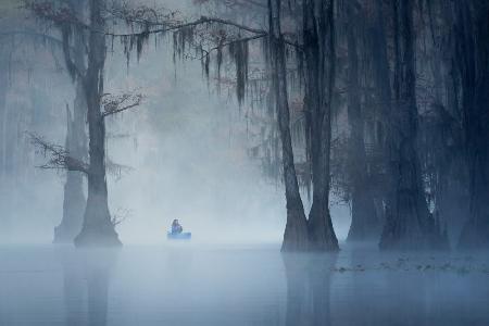 Caddo Lake fog morning