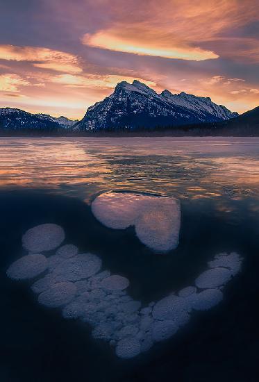 Ice Bubbles in Vermilion Lakes