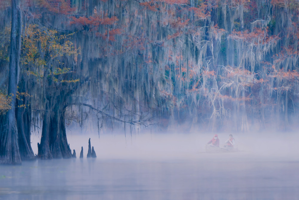 Autumn color in fog von Leah Xu