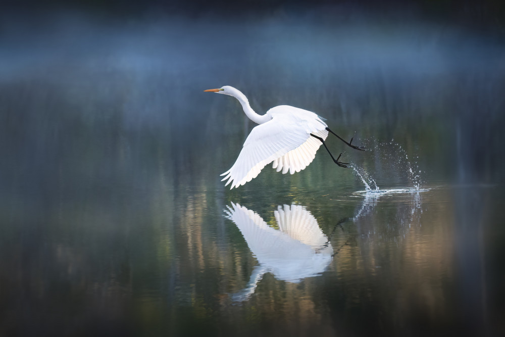 morning light von Leah Xu