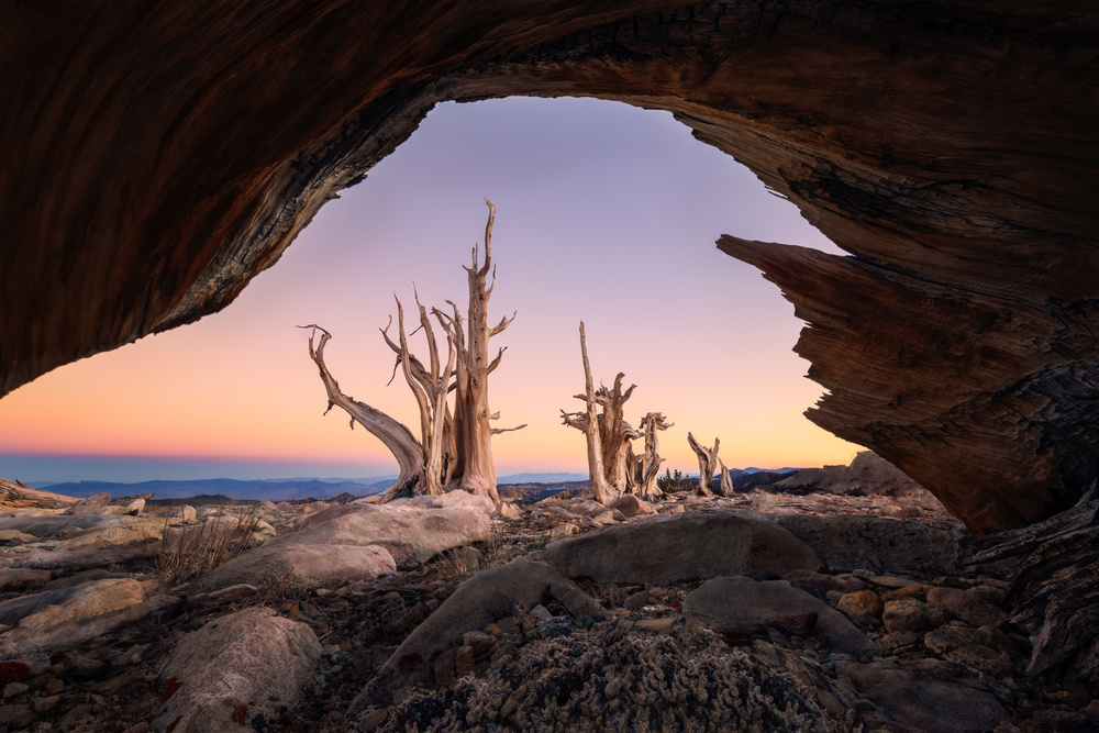 Sunset Out of Window von Leah Xu