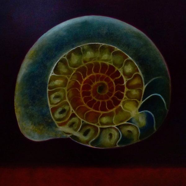 Green Ammonite von Lee Campbell