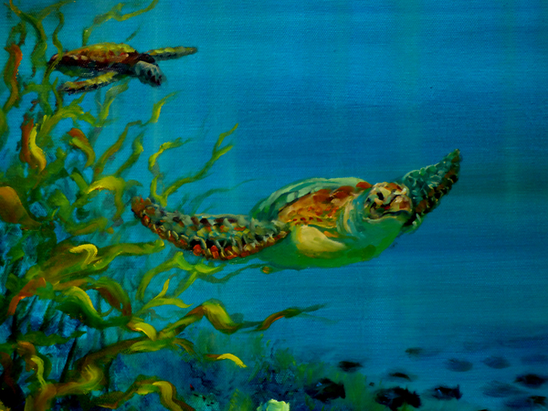 Green Turtle von Lee Campbell