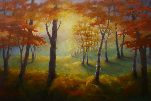 Light at the Edge Forest von Lee Campbell