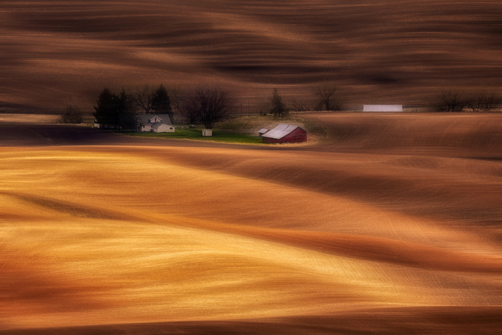 Farmhouse on Golden Fields von Leechee Z