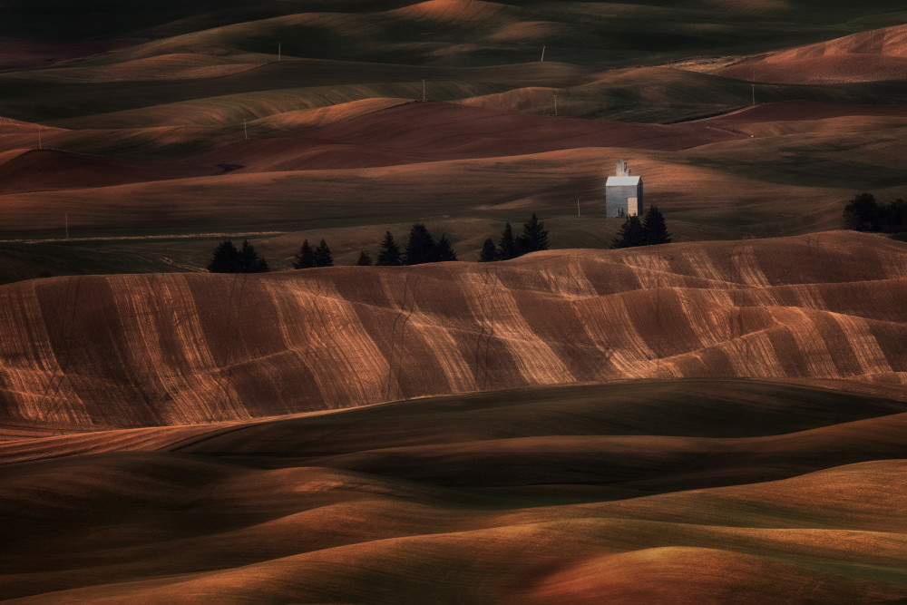 sunset lights over wheat fields von Leechee Z