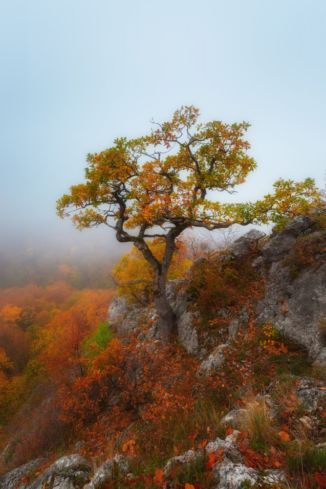 Cliffhanger von Leicher Oliver